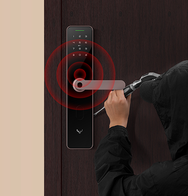 Smart Locks for Everyday Home Protection