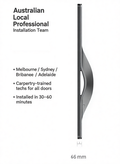 Lockin V5 Max | Premium push-pull smart lock with palm-vein unlock